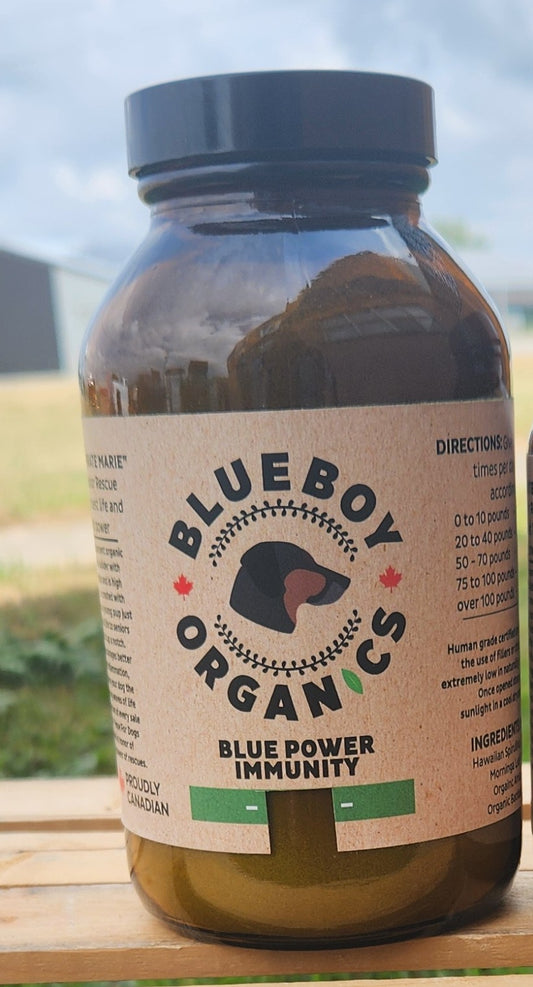 Blue Power Immunity 16 0z Value Size