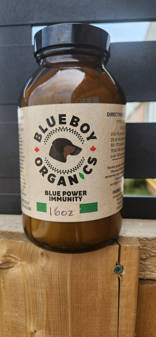 Blue Power Immunity 16 0z Value Size