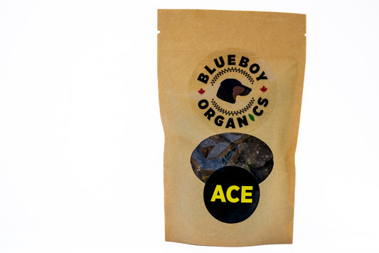 ACE Treat - In the House!